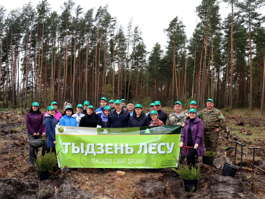 Сотрудники райисполкома высадили порядка 2,5 тысячи молодых деревьев в рамках акции «Неделя леса»