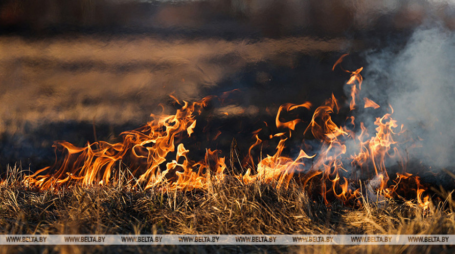 СК папярэджвае аб адказнасці за парушэнне правіл пры спальванні сухой травы